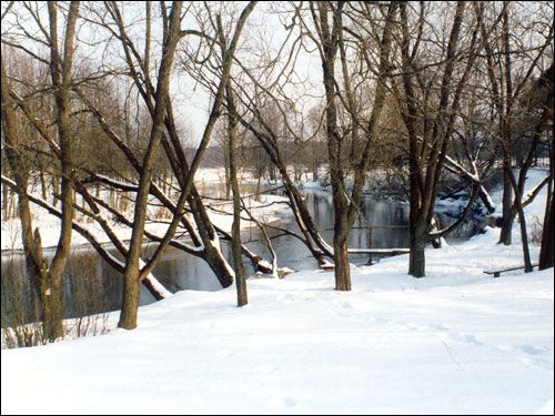 Subotniki. Landscapes 