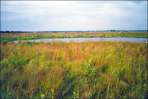 Subotniki. Landscapes 