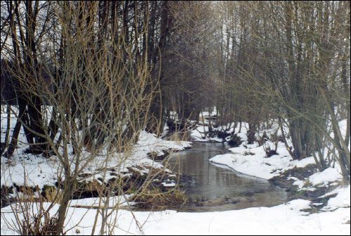 Subotniki. Landscapes 