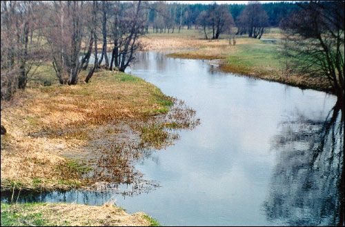 Subotniki. Landscapes 