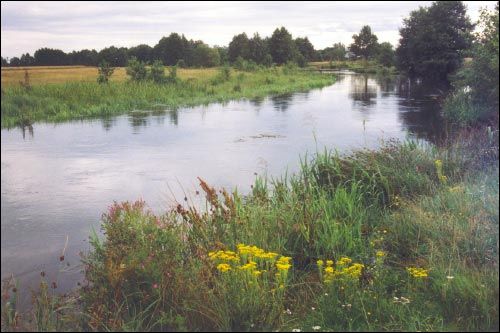 Subotniki. Landscapes 