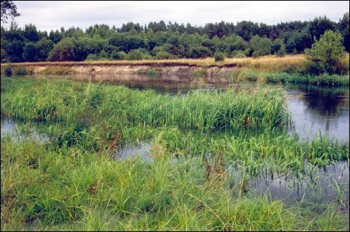 Subotniki. Landscapes 