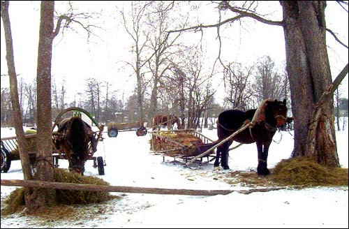 Subotniki. Landscapes 