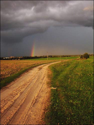 Subotniki. Landscapes 