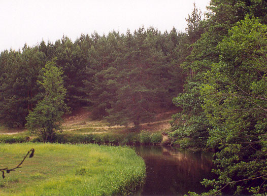 Subotniki. Landscapes 