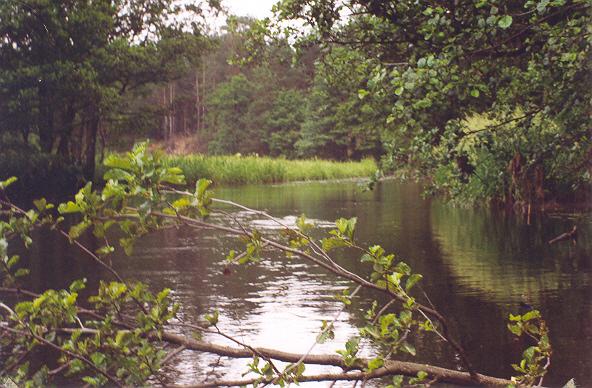 Subotniki. Landscapes 