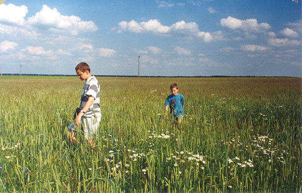 Subotniki. Landscapes 