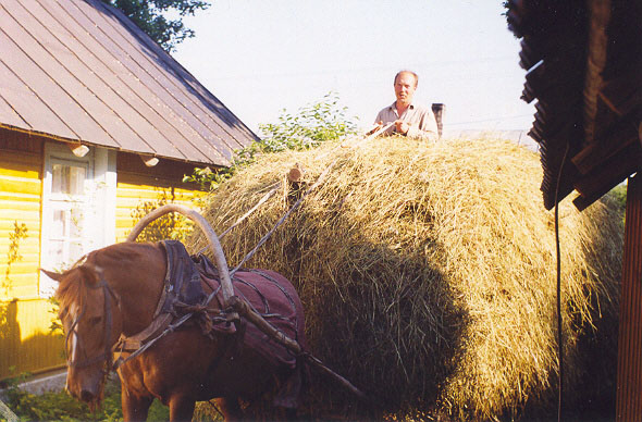 Subotniki. Landscapes 