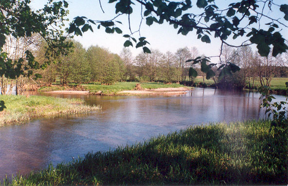 Subotniki. Landscapes 