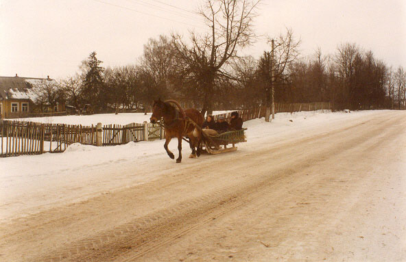 Subotniki. Landscapes 
