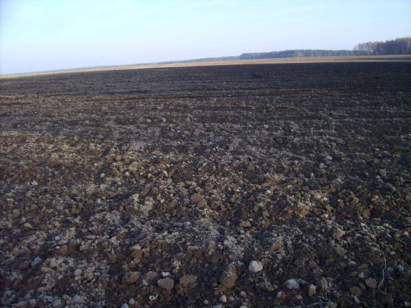 Subotniki. Landscapes 