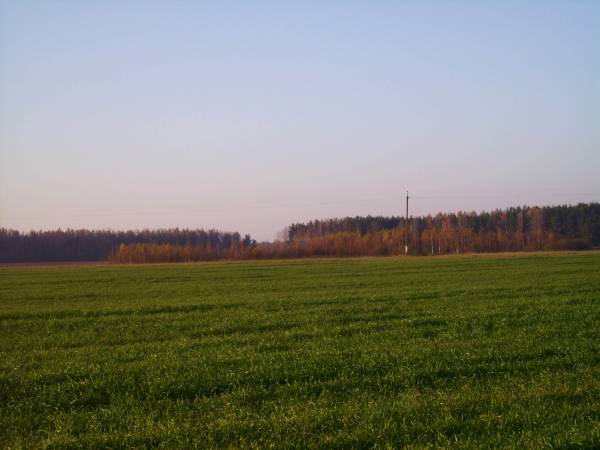 Subotniki. Landscapes 