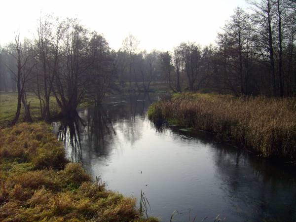 Subotniki. Landscapes 