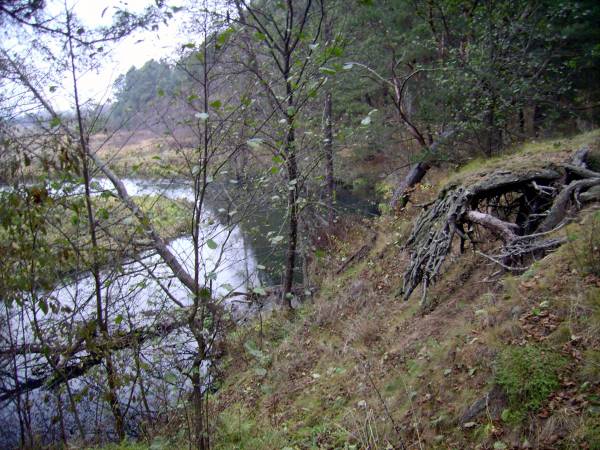 Subotniki. Landscapes 