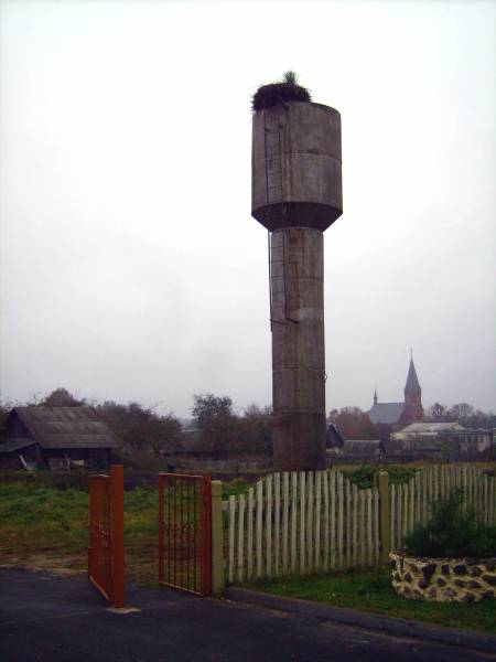 Subotniki. Landscapes 