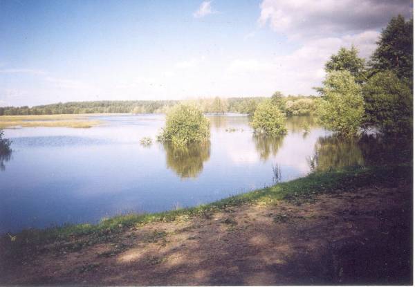 Subotniki. Landscapes 