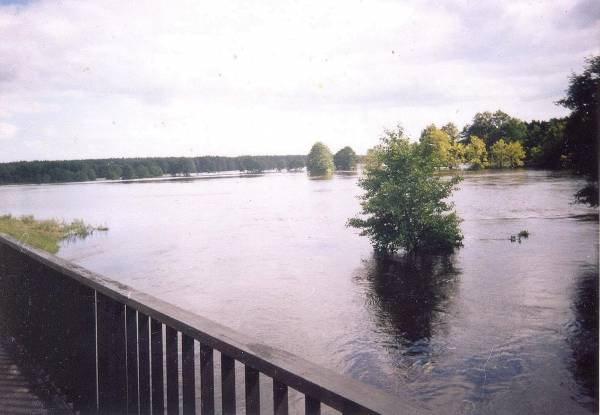 Subotniki. Landscapes 