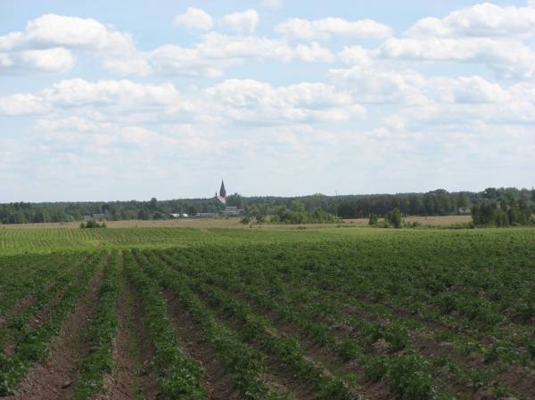 Subotniki. Landscapes 