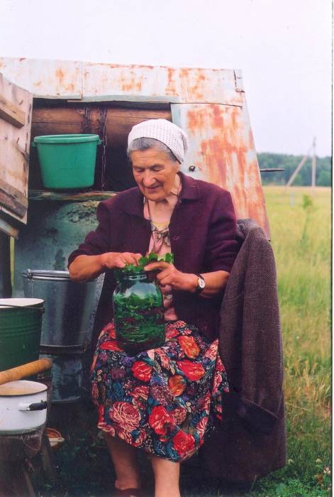 Subotniki. Landscapes 