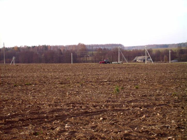 Subotniki. Landscapes 