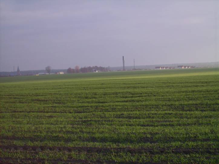 Subotniki. Landscapes 