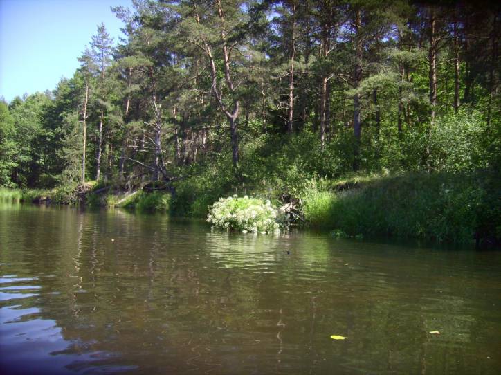Subotniki. Landscapes 