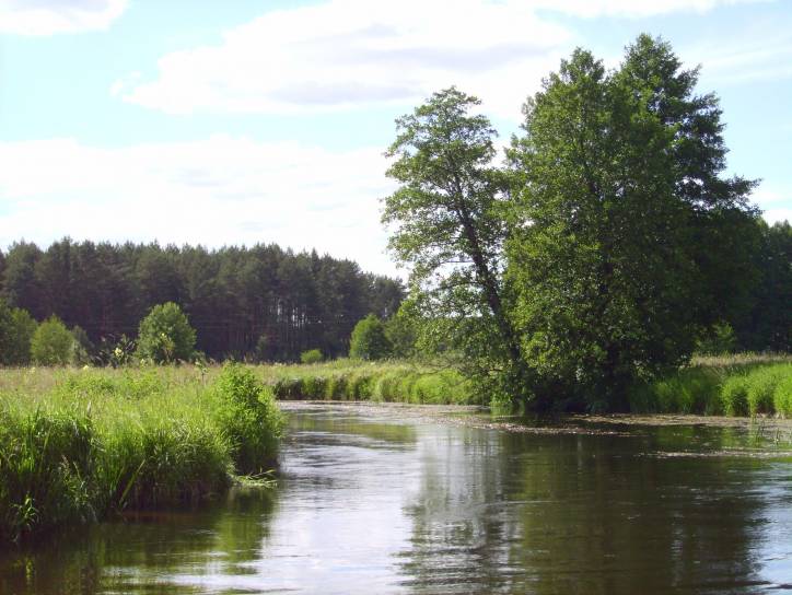 Subotniki. Landscapes 