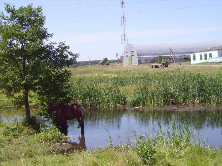 Subotniki. Landscapes 