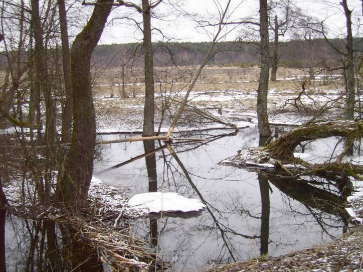 Subotniki. Landscapes 