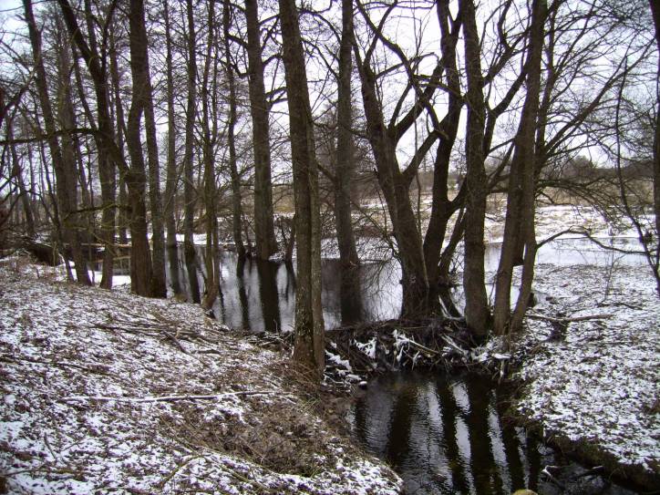 Subotniki. Landscapes 