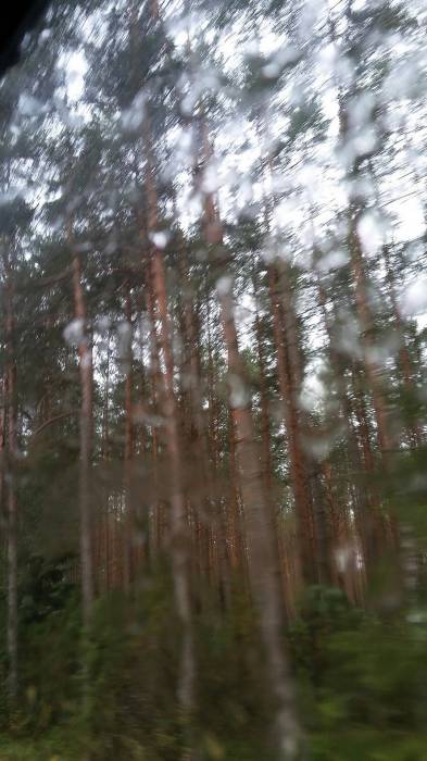 Subotniki. Landscapes 