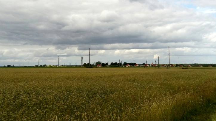 Subotniki. Landscapes 
