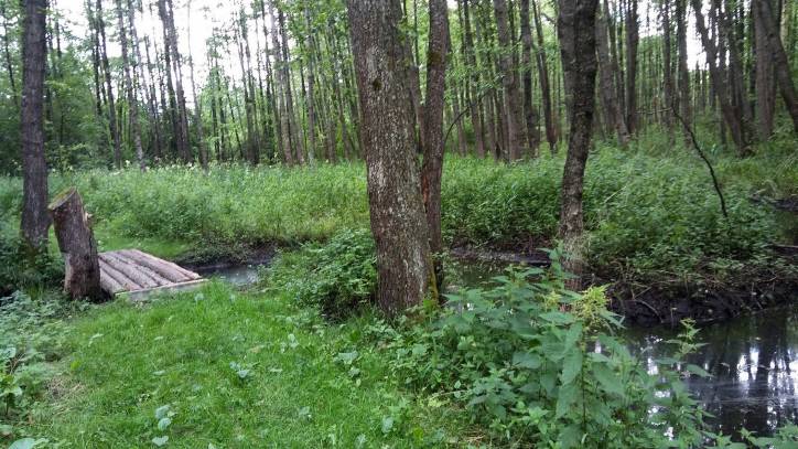 Subotniki. Landscapes 