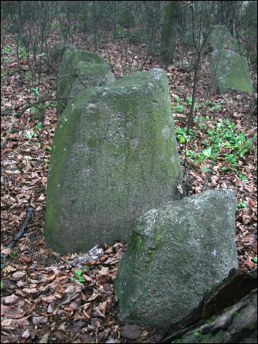  - cemetery Tartarian. 