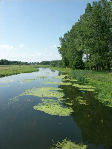 Jastrzębl. Krajobrazy 