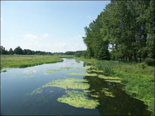 Jastrzębl.  Krajobrazy 