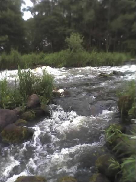  - Landscapes . 