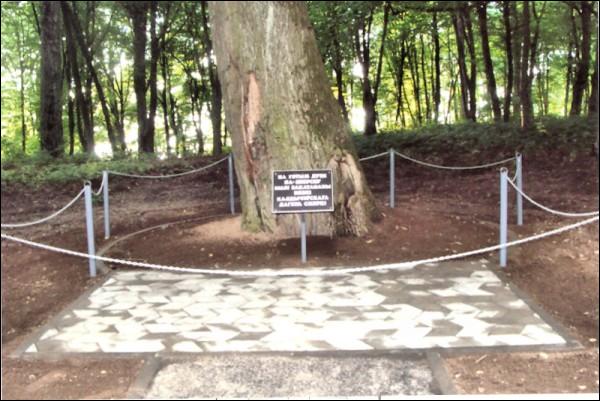  -  Месца канцэнтрацыйнага лагеру Калдычава. 