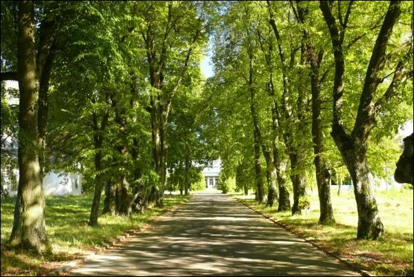 Bahudzienki (Porazava). Manor of Buttowt-Andrzejkowicz