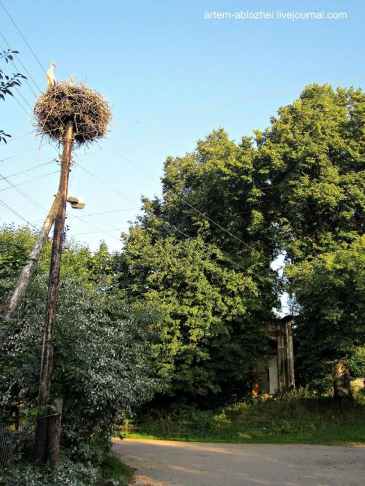 Несутычы. Каплічка прыдарожная 