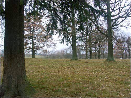 Pieršamajski (Obryń).  Landscapes 