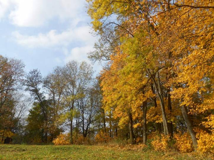 Kroszyn.  Park Światopełk-Zawadzkich