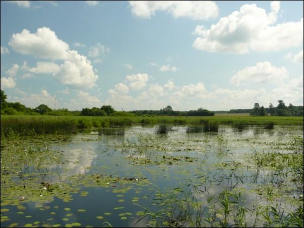 Žyrmuny. Landscapes 
