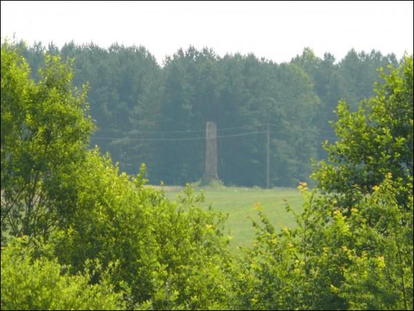 Žyrmuny. Landscapes 