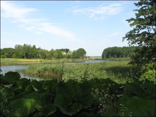 Bierdaŭka. Landscapes 