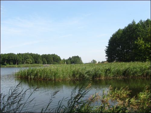 Bierdaŭka. Landscapes 