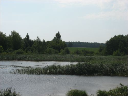 Bierdaŭka. Landscapes 