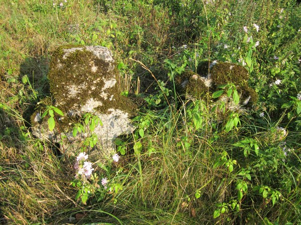 Vierabjevičy Małyja. Orthodox church at cemetery