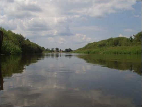 Dzialacičy. Landscapes 