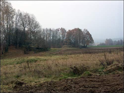 Гарадзечна (Слабодка). Краявіды 